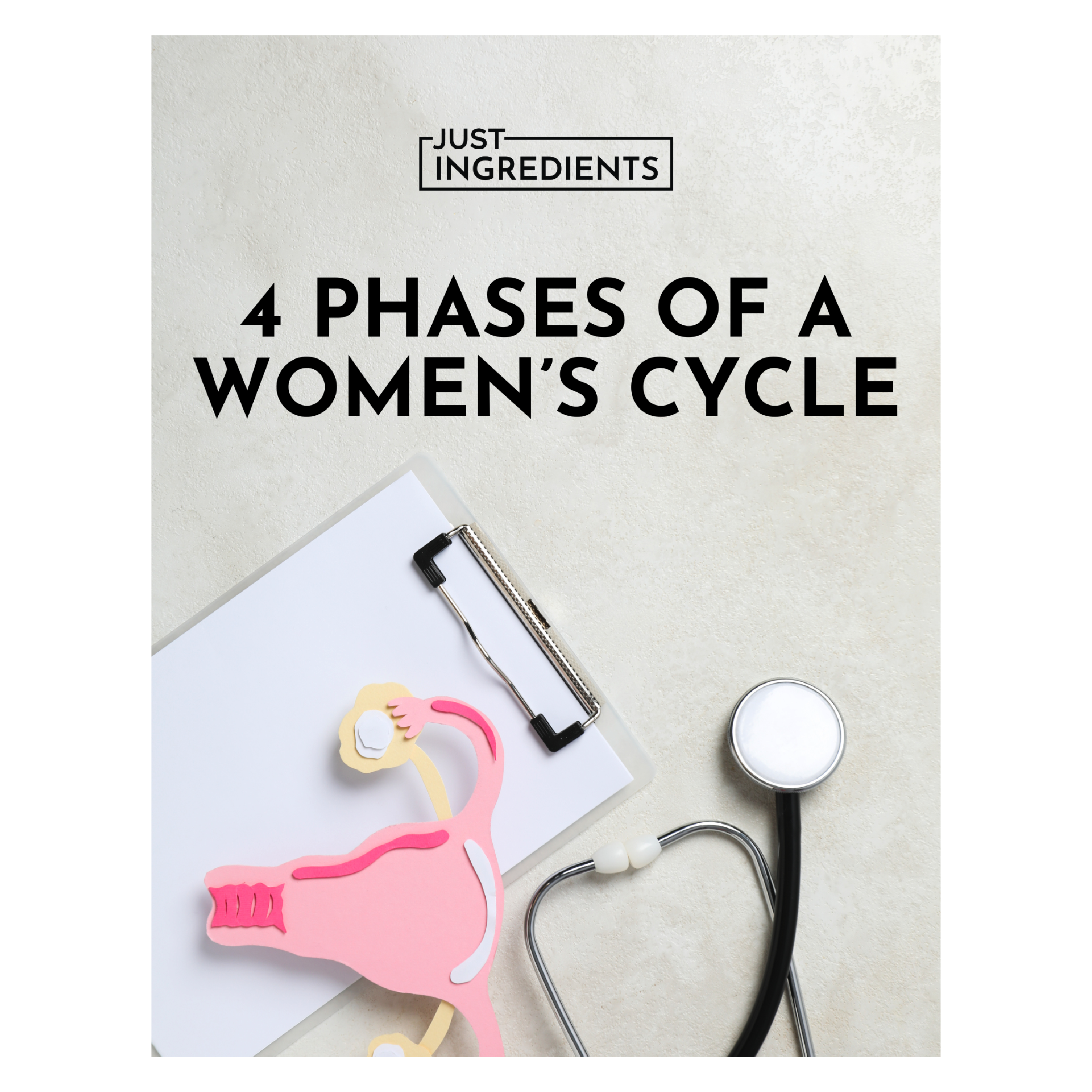 4 Phases of a Women's Cycle - Premium