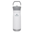 Stanley Bottle